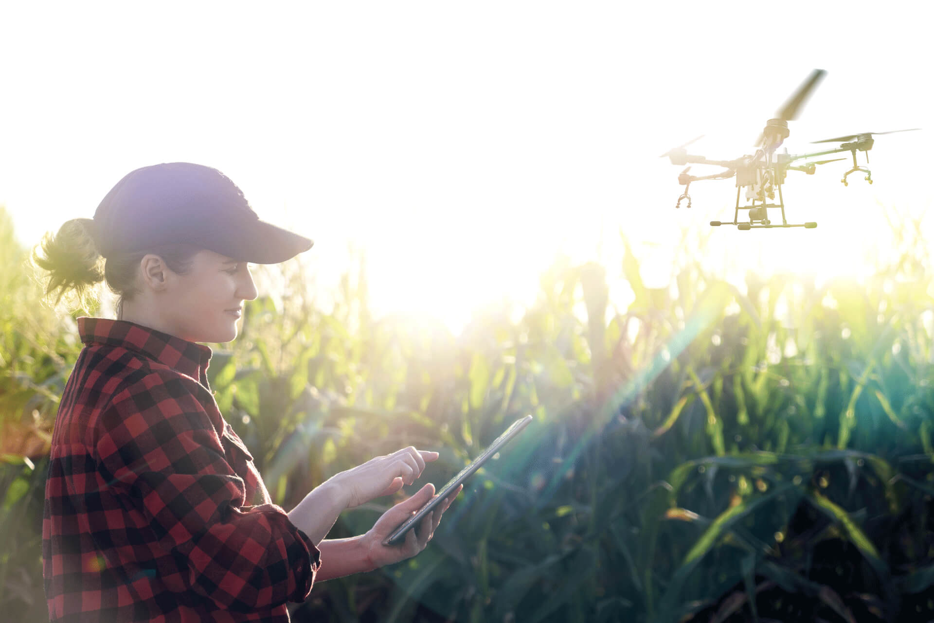 Iparagak_mezogazdasag