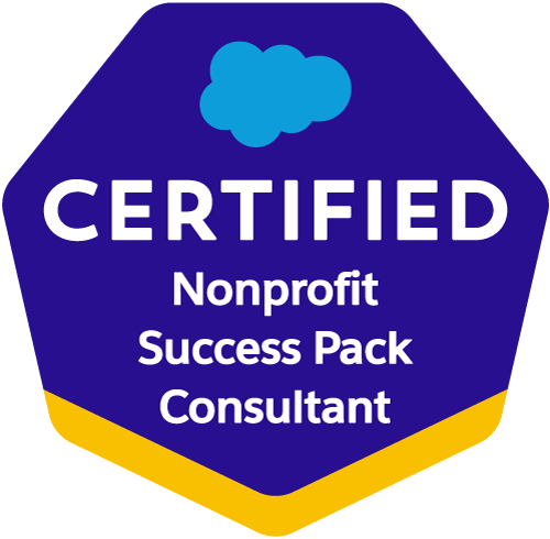 NonProfit SP Salesforce Certification_29